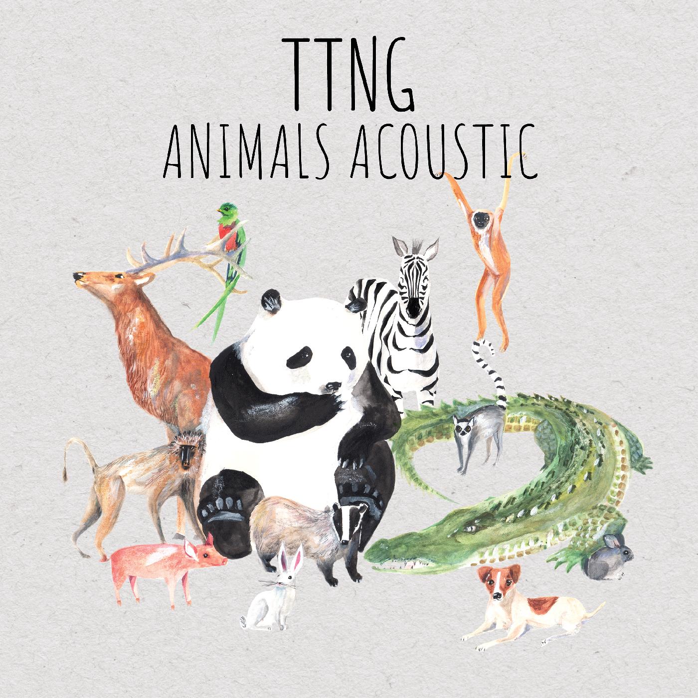 Animals Acoustic [CD]
