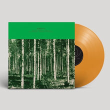 Pennselmann Hits Vol. 2765 [Vinyl]