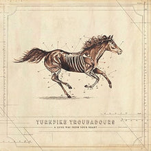 A Long Way From Your Heart (2 Lp's) [Vinyl] - Paladin Vinyl