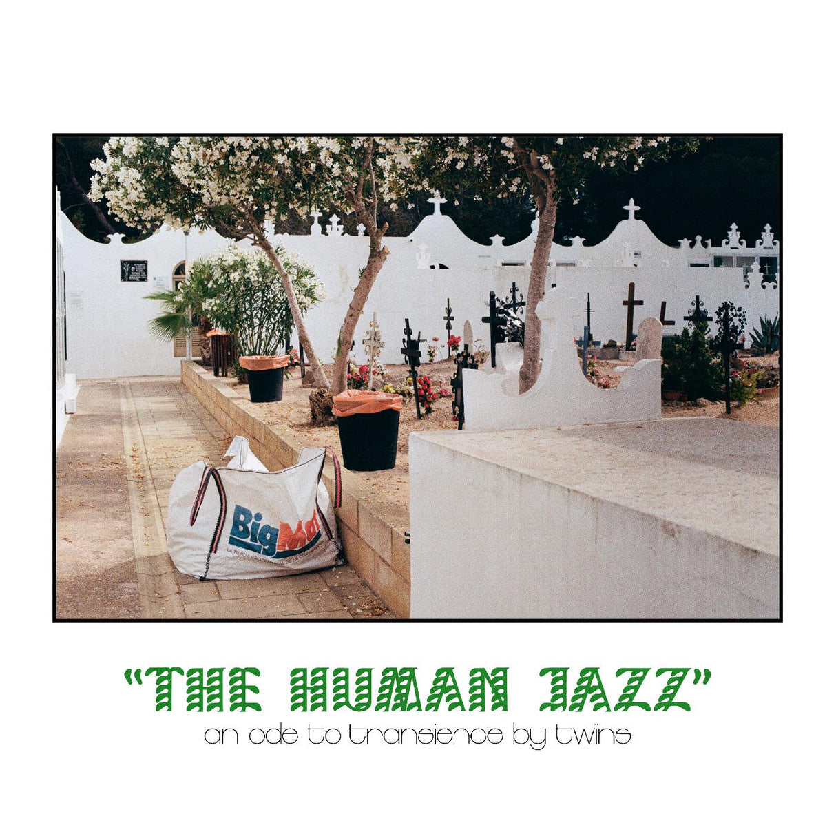 TWœNS - The Human Jazz [Vinyl]