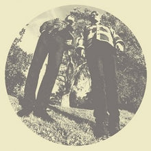 Ty &amp; White Fence Segall - Cabello [Vinilo]