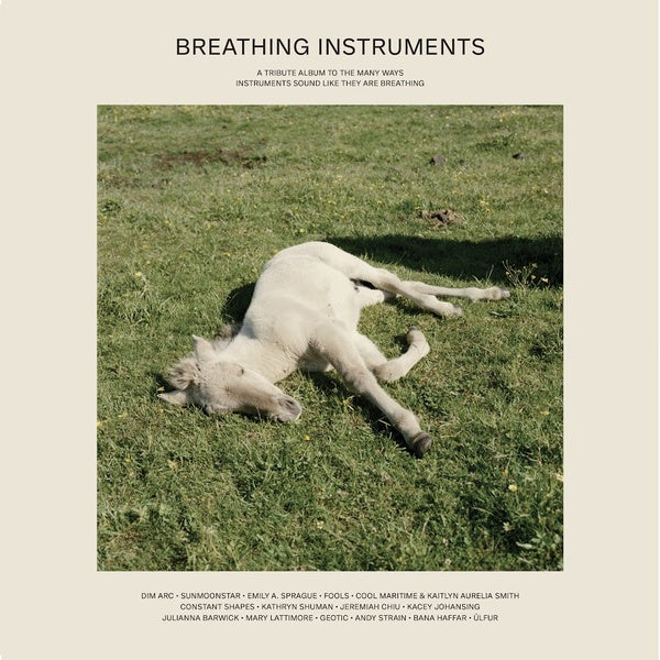 Breathing Instruments [Vinyl]