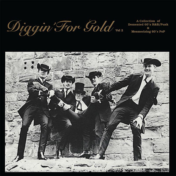 Diggin' For Gold Volume 2 [Vinyl]