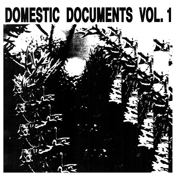 Va - Domestic Documents Vol. 1: Compiled by Butter Sessions and Noise In My Head [Vinyl]