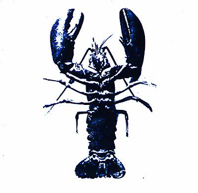 Double Articulation: Folds & Rhizomes Remix Project [CD]