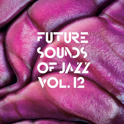 Va - Future Sounds Of Jazz Vol. 12 [CD]