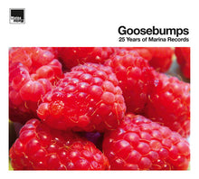 Goosebumps: 25 Years Of Marina Records [Vinyl]