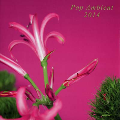 Va - Pop Ambient 2014 [CD]