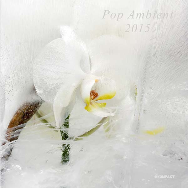 Va - Pop Ambient 2015 [CD]