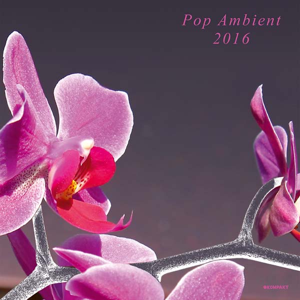 Va - Pop Ambient 2016 [Vinyl]