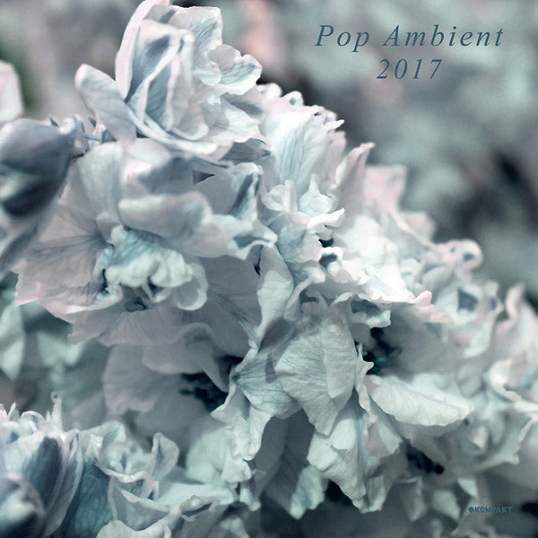 Va - Pop Ambient 2017 [Vinyl]