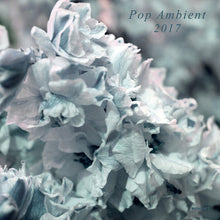 Pop Ambient 2017 [CD]