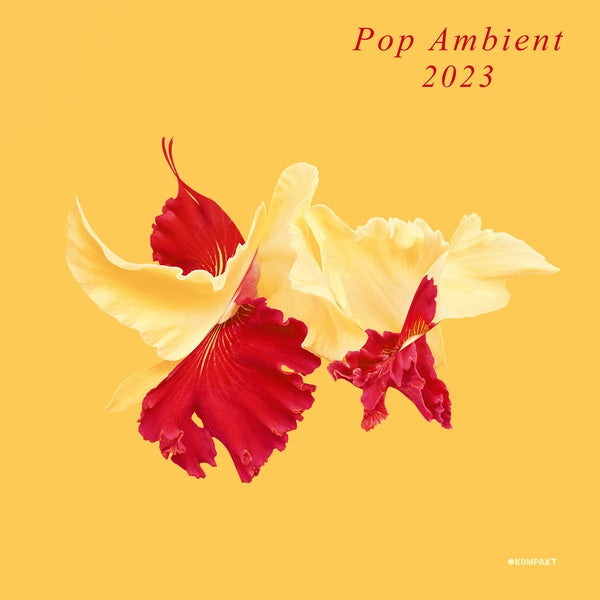 Va - Pop Ambient 2023 [Vinyl]