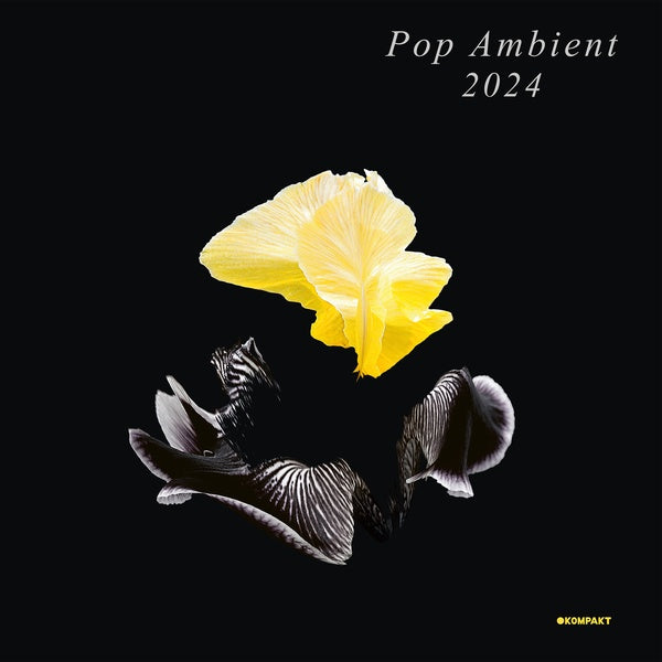 Va - Pop Ambient 2024 [Vinyl]