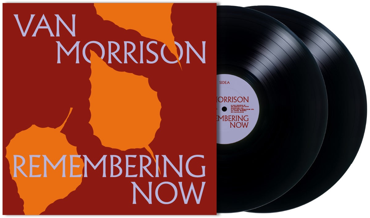 Remembering Now (2 LP) [Vinyl]