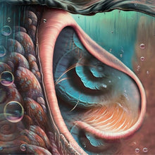 Meddle Reimagined: A Tribute To Pink Floyd [CD]