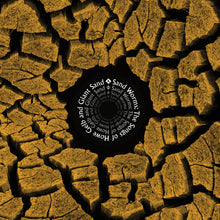 Sand Worms (The Songs Of Howe Gelb And Giant Sand) [Vinyl]