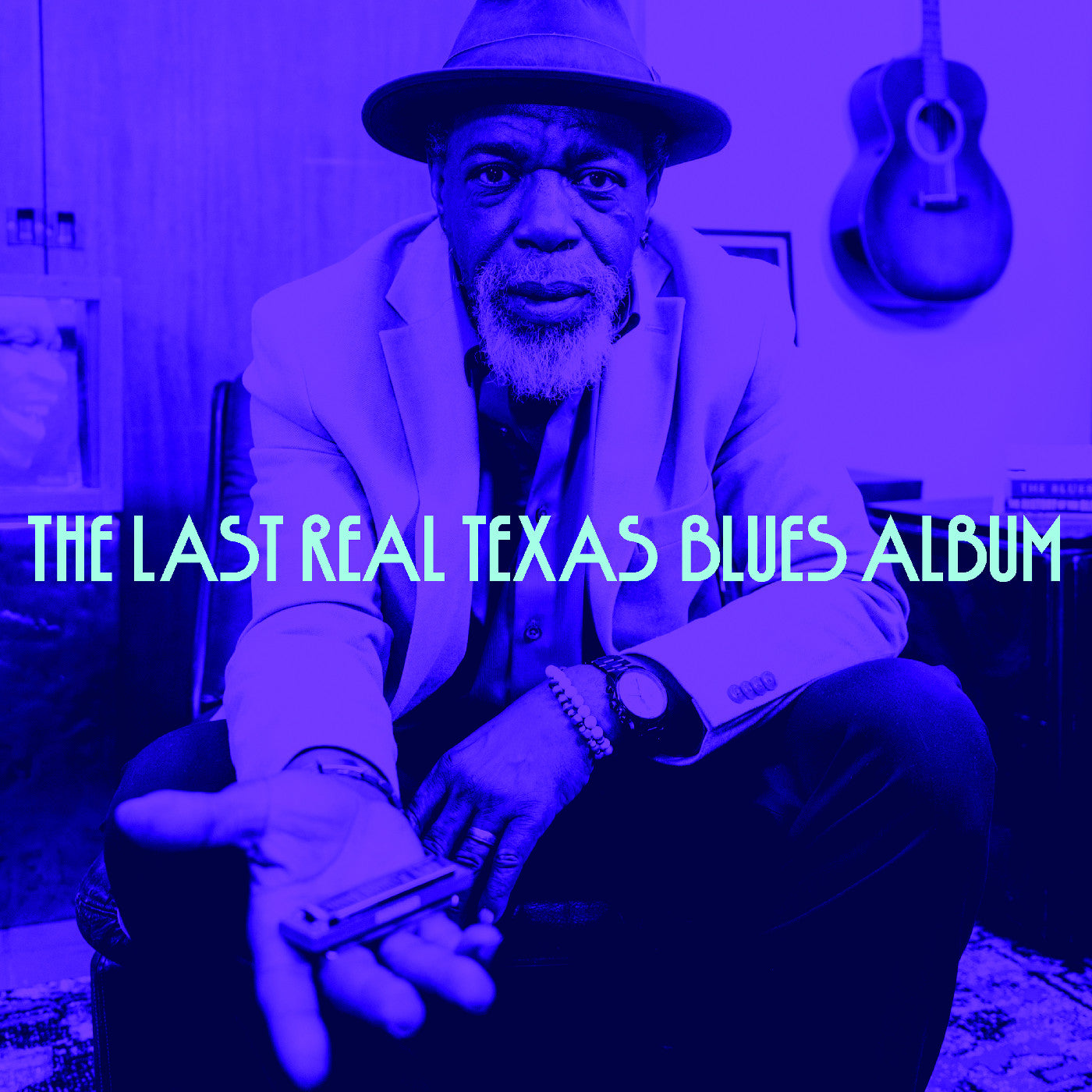 The Last Real Texas Blues Album [CD]