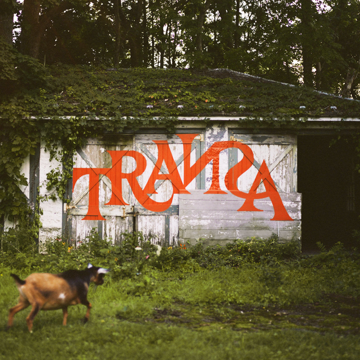 Transa (Deluxe Edition) [Vinyl]
