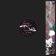 Acid Explorations [Vinyl]