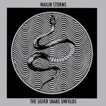 Wailin Storms - The Silver Snake Unfolds (BLUE & BLACK GALAXY VINYL) [Vinyl] - Paladin Vinyl