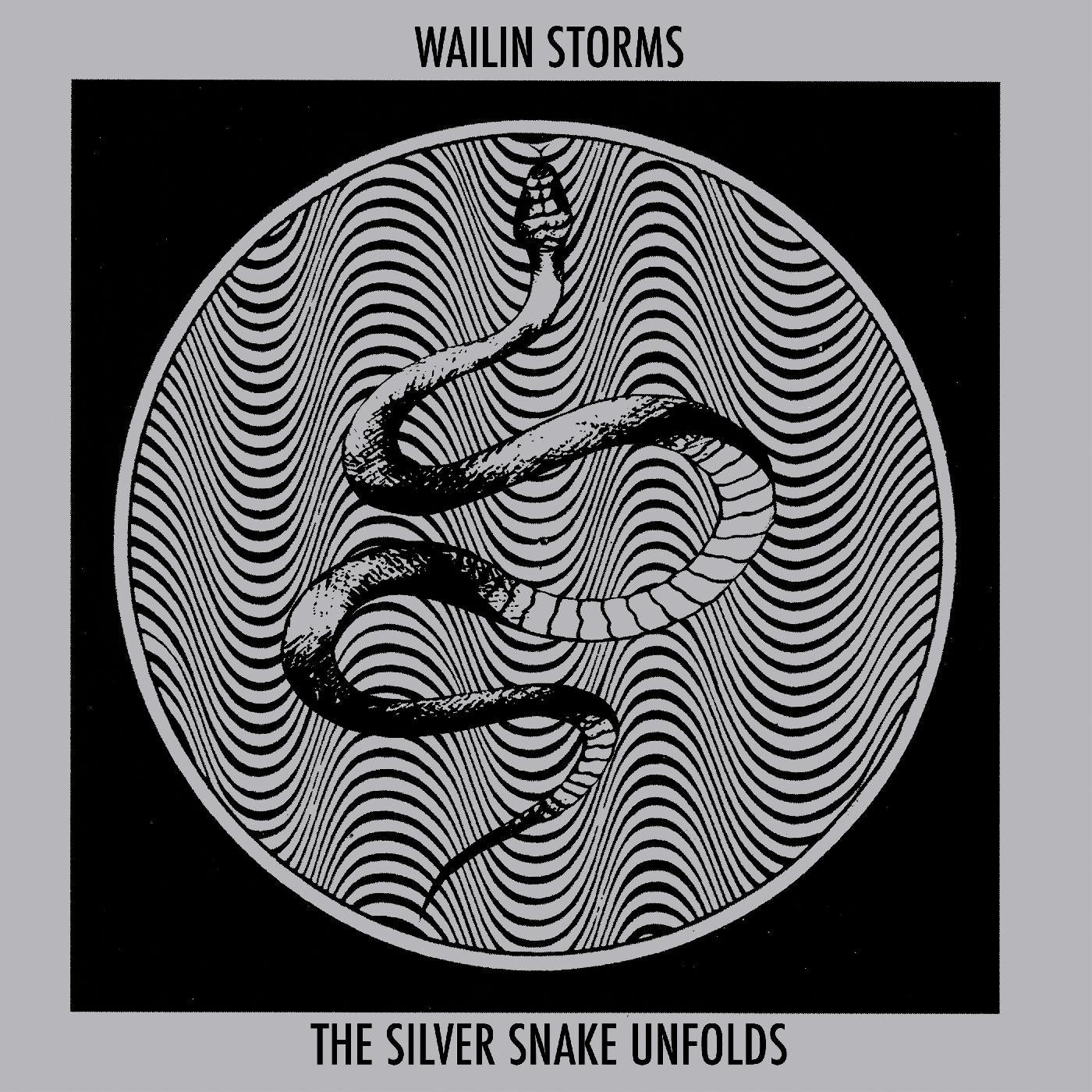 The Silver Snake Unfolds [CD]