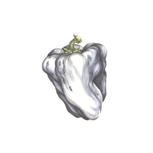 White Pepper [Green Vinyl] [Vinyl]