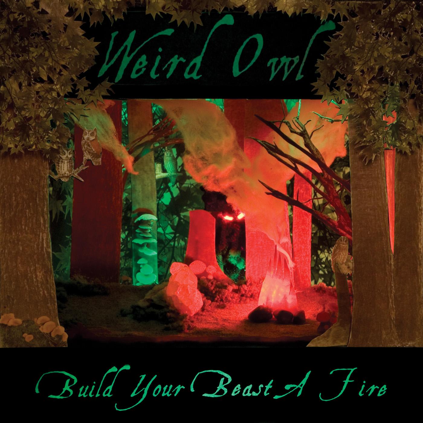 Build Your Beast A Fire [CD]