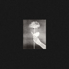 White Flowers - Day By Day (BLUE VINYL) [Vinyl] - Paladin Vinyl
