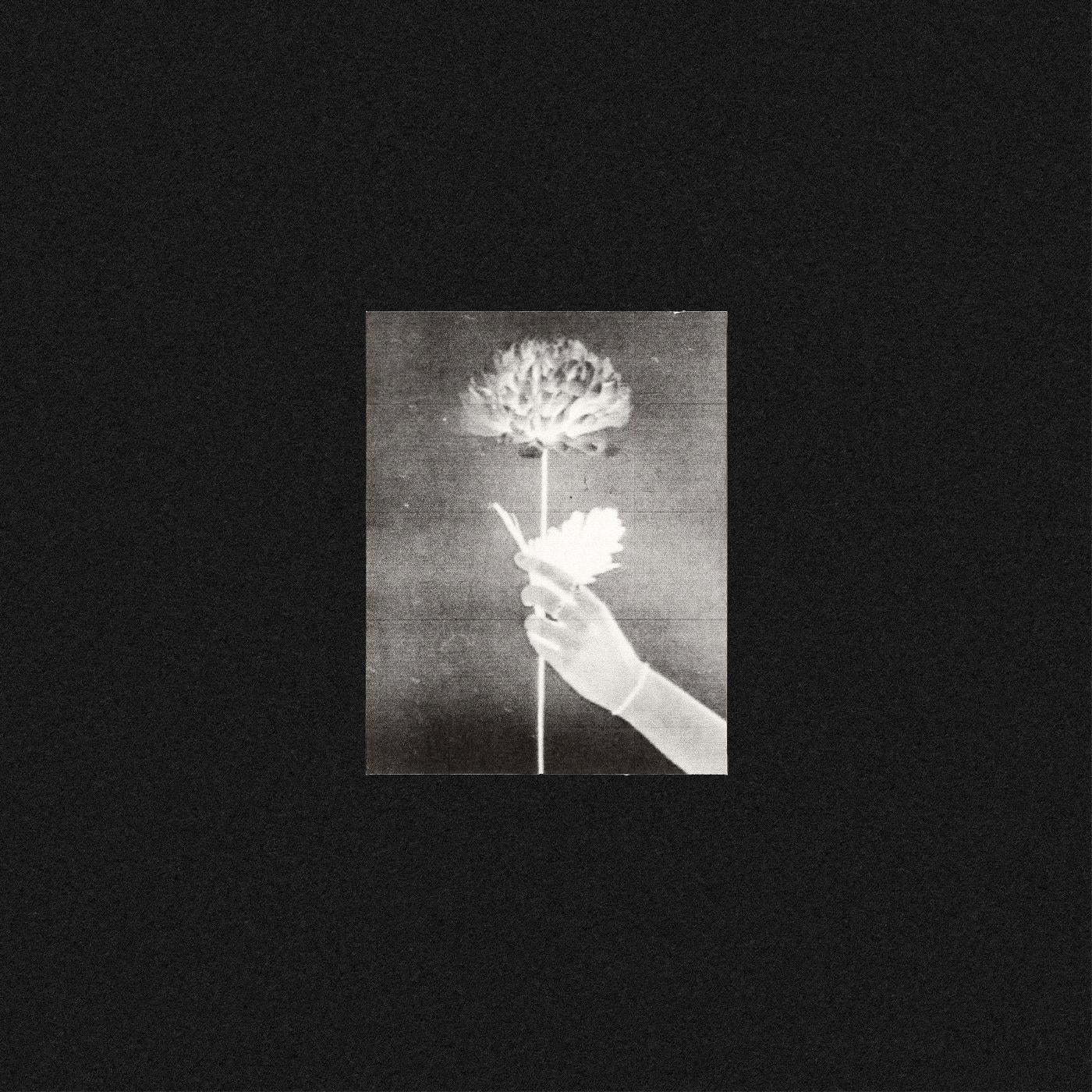 White Flowers - Day By Day (BLUE VINYL) [Vinyl] - Paladin Vinyl
