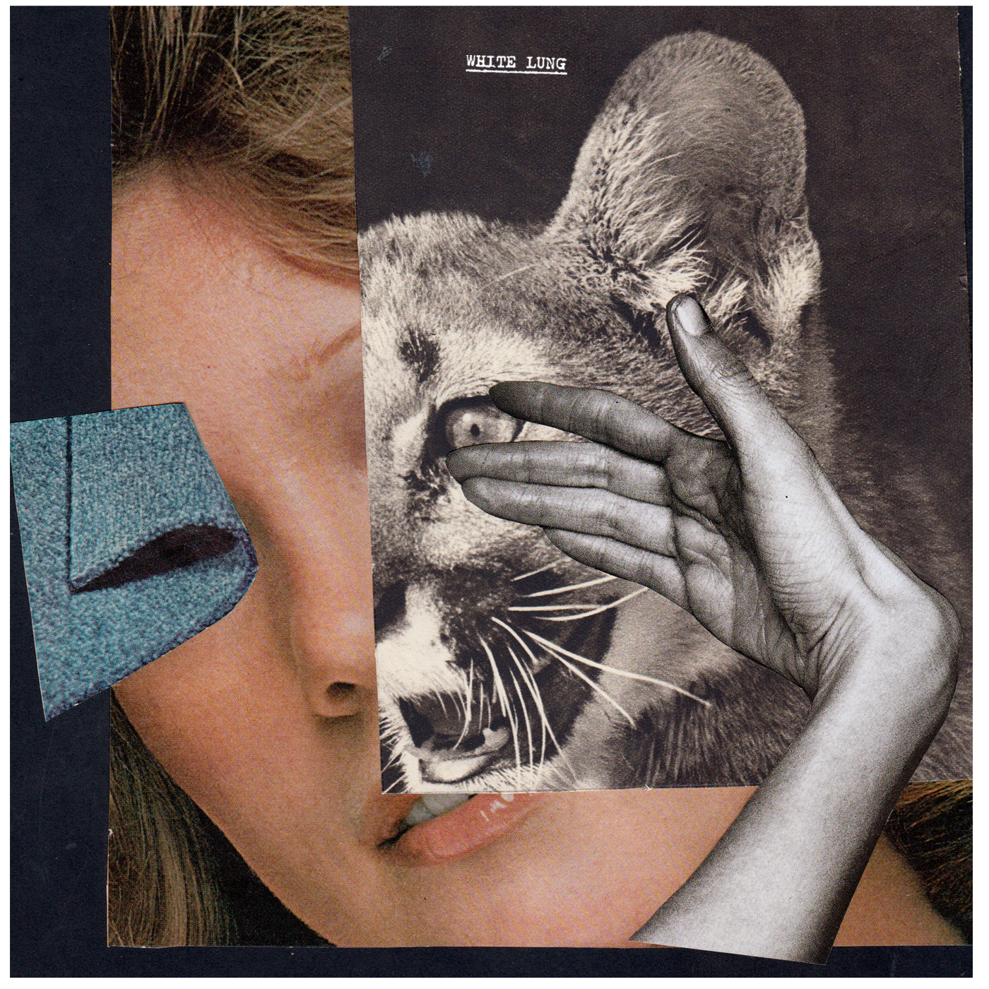 White Lung - Drown With The Monster [Vinyl] - Paladin Vinyl