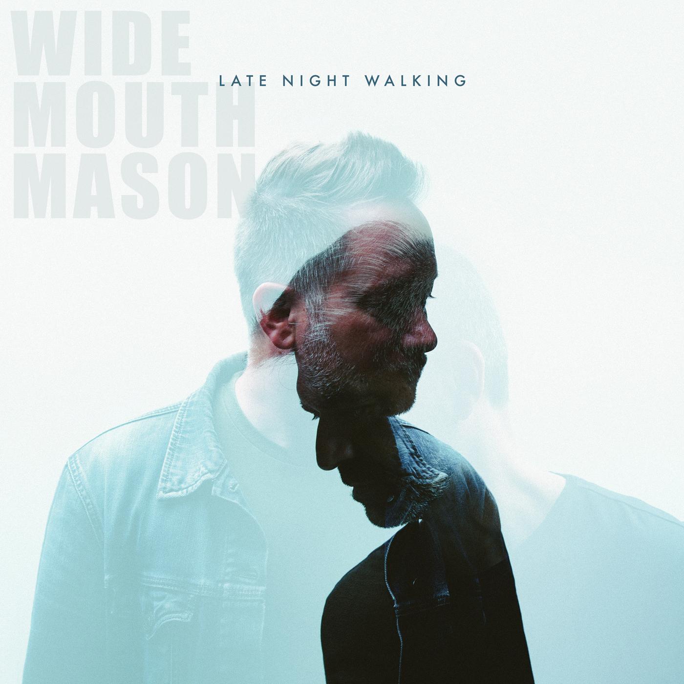 Late Night Walking [Vinyl] - Paladin Vinyl