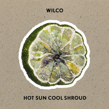 Wilco - Hot Sun Cool Shroud [Vinyl]