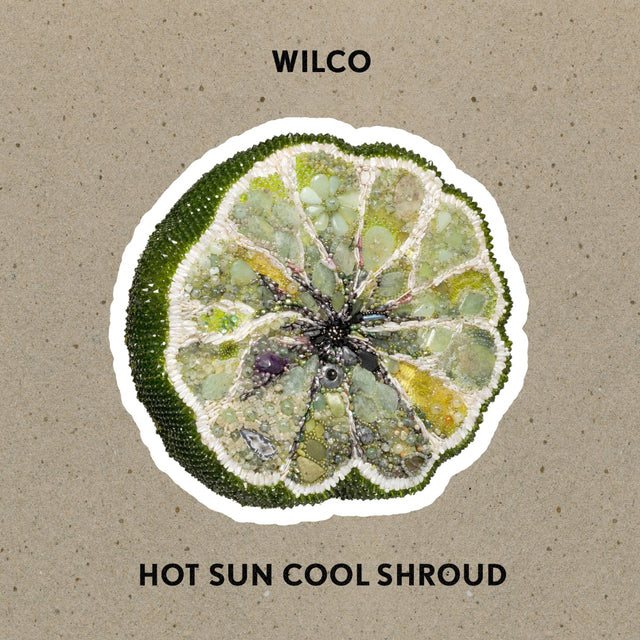 Wilco - Hot Sun Cool Shroud [Vinyl]