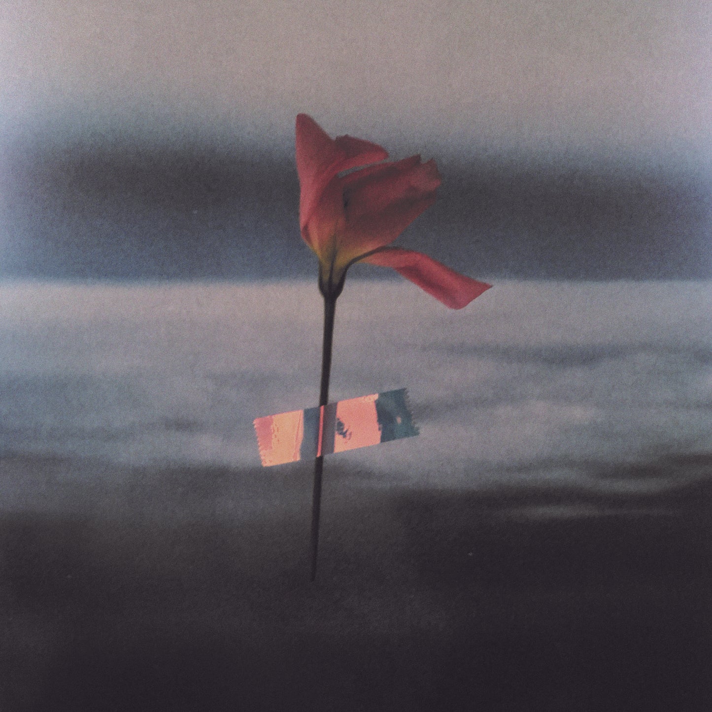 Will Samson - Paralenguaje (VINILO COLOR) [Vinilo]