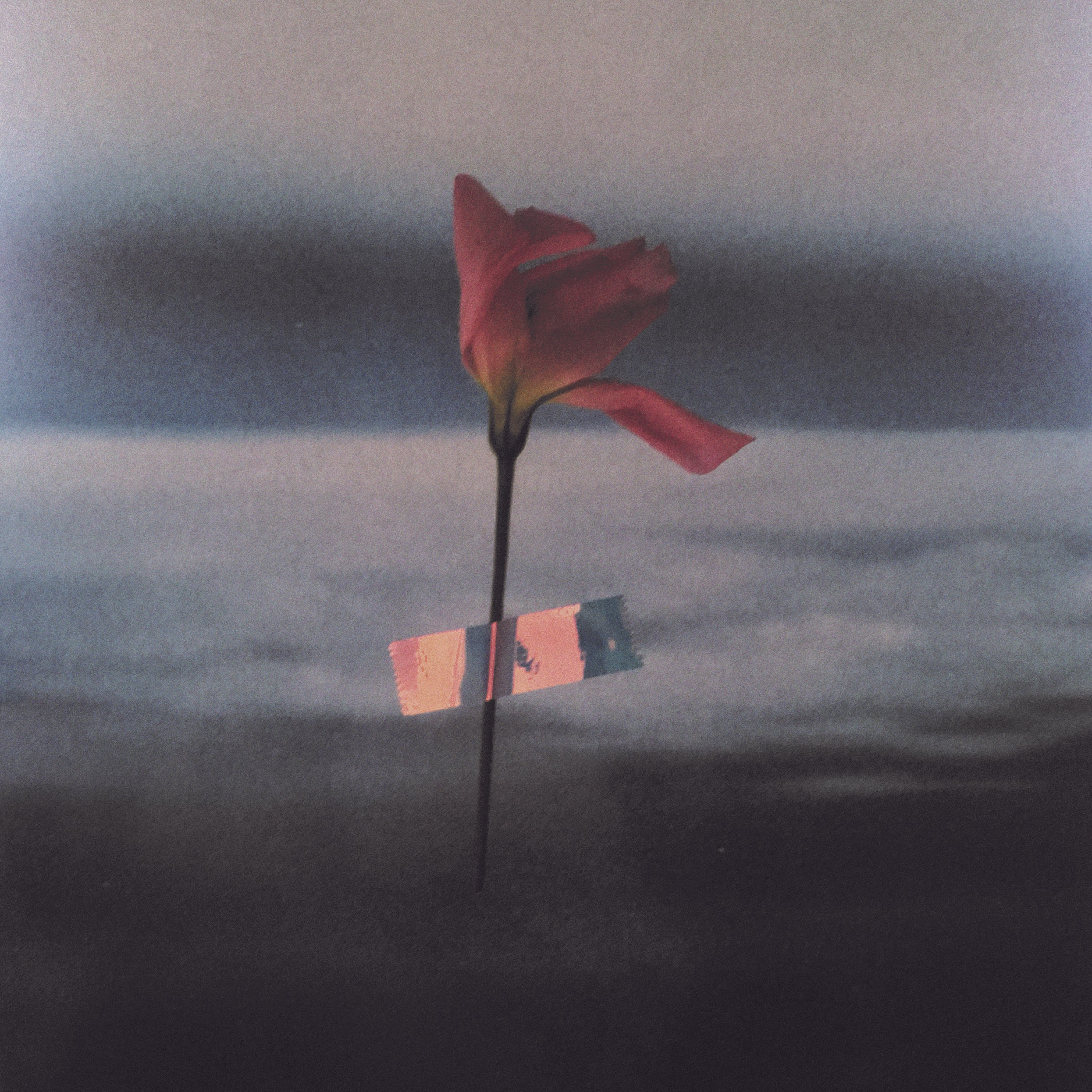 Will Samson - Paralenguaje (VINILO COLOR) [Vinilo]