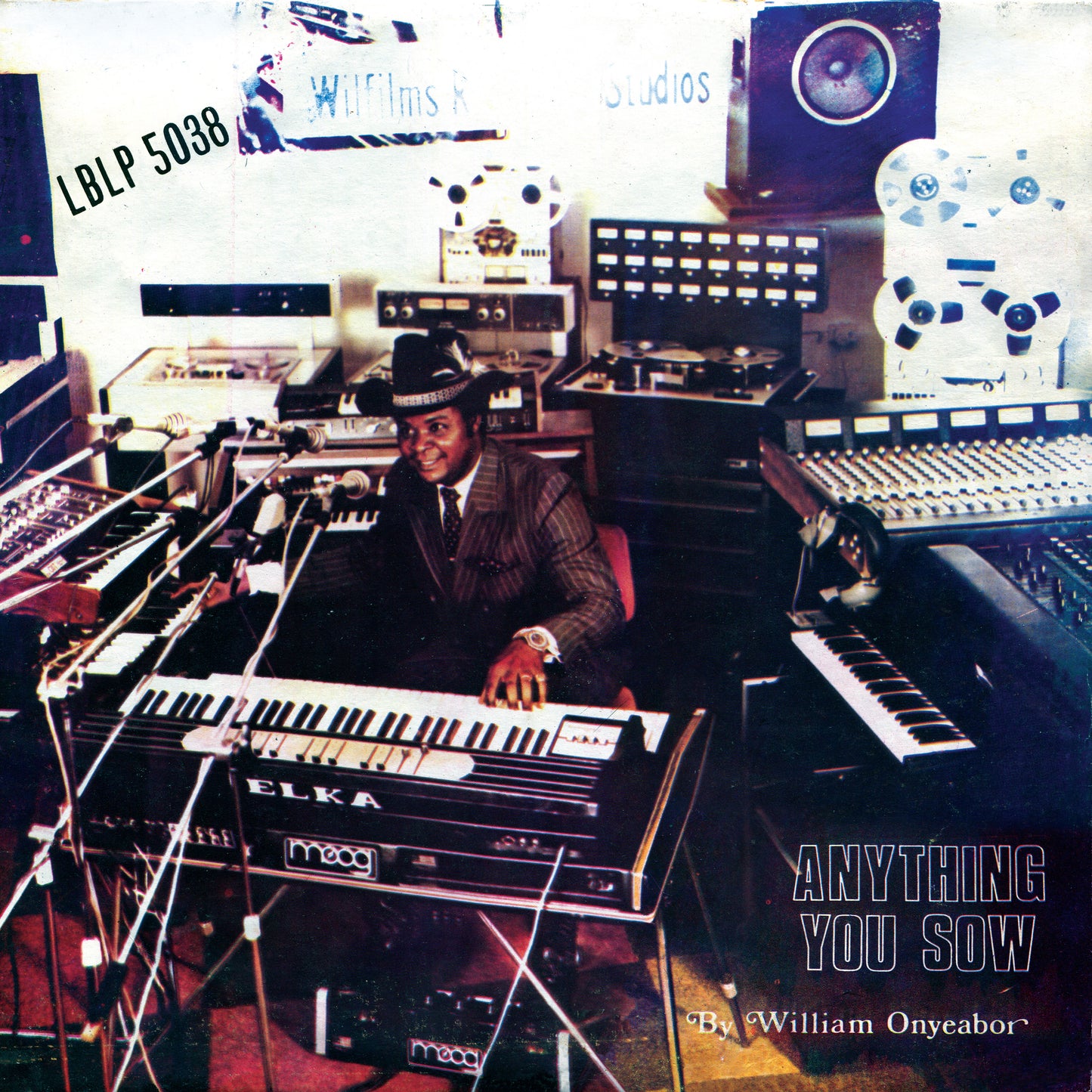 Anything You Sow [Vinyl] - Paladin Vinyl