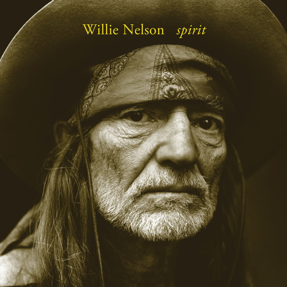 Willie Nelson Spirit [LP] Vinyl - Paladin Vinyl