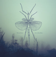 South From Here [CD]