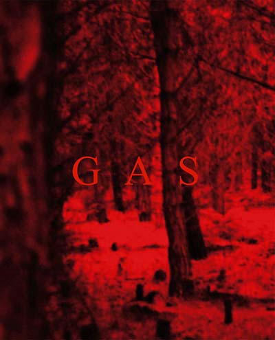 WOLFGANG VOIGT - Gas [Book]