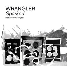 Sparked: Modular Remix Project [Vinyl]