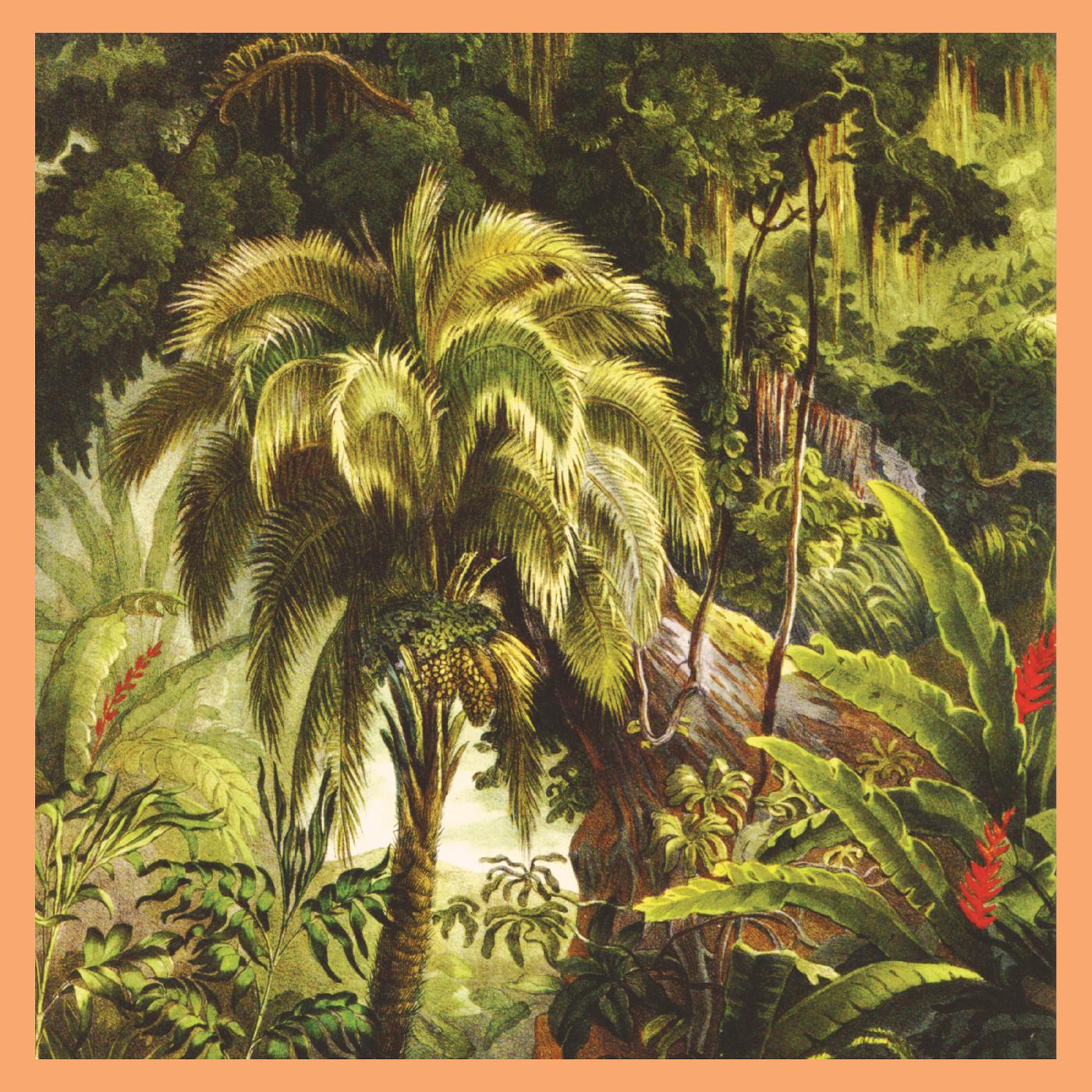 Xiu Xiu - La Foret [Jade Eco-Mix Vinyl] [Vinyl]