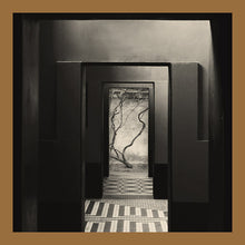 YAIR ELAZAR GLOTMAN & MATS ERLANDSSON - Negative Chambers [Vinyl]