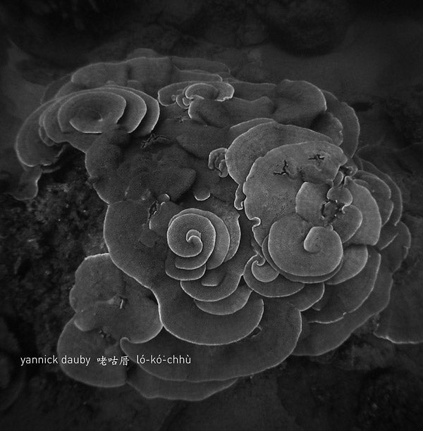 YANNICK DAUBY - Penghu Experimental Sound Studio Vol. 2 [Vinyl]