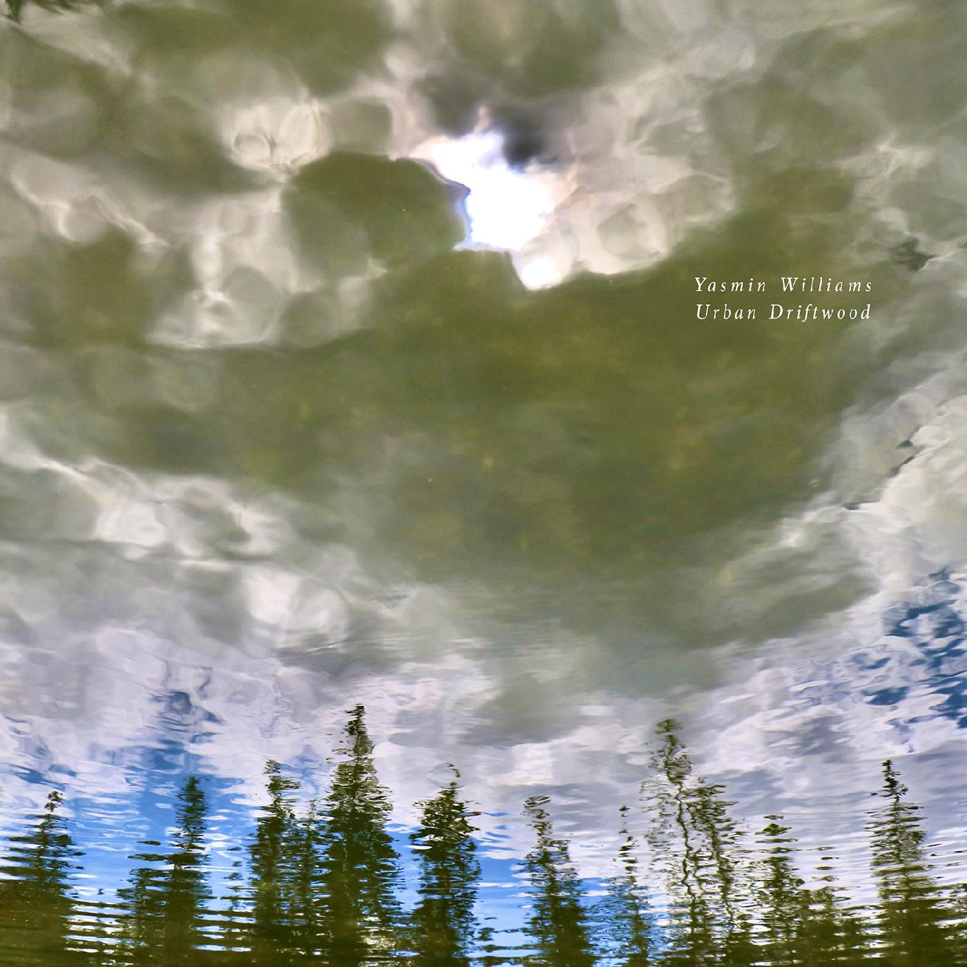 Urban Driftwood [CD]