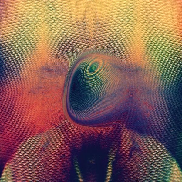 Melt [Vinyl] - Paladin Vinyl