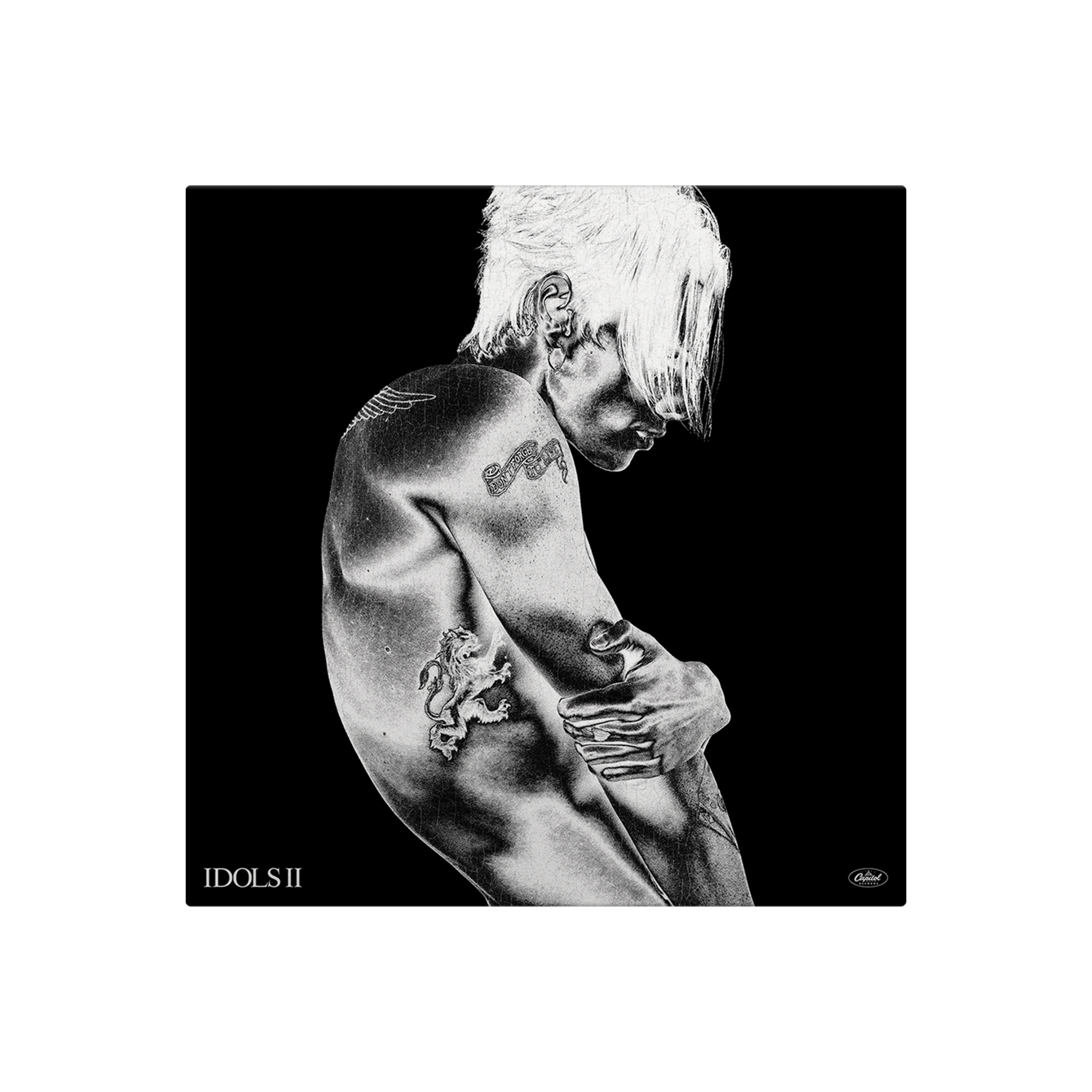 Idols II [Clear Vinyl] [Vinyl]