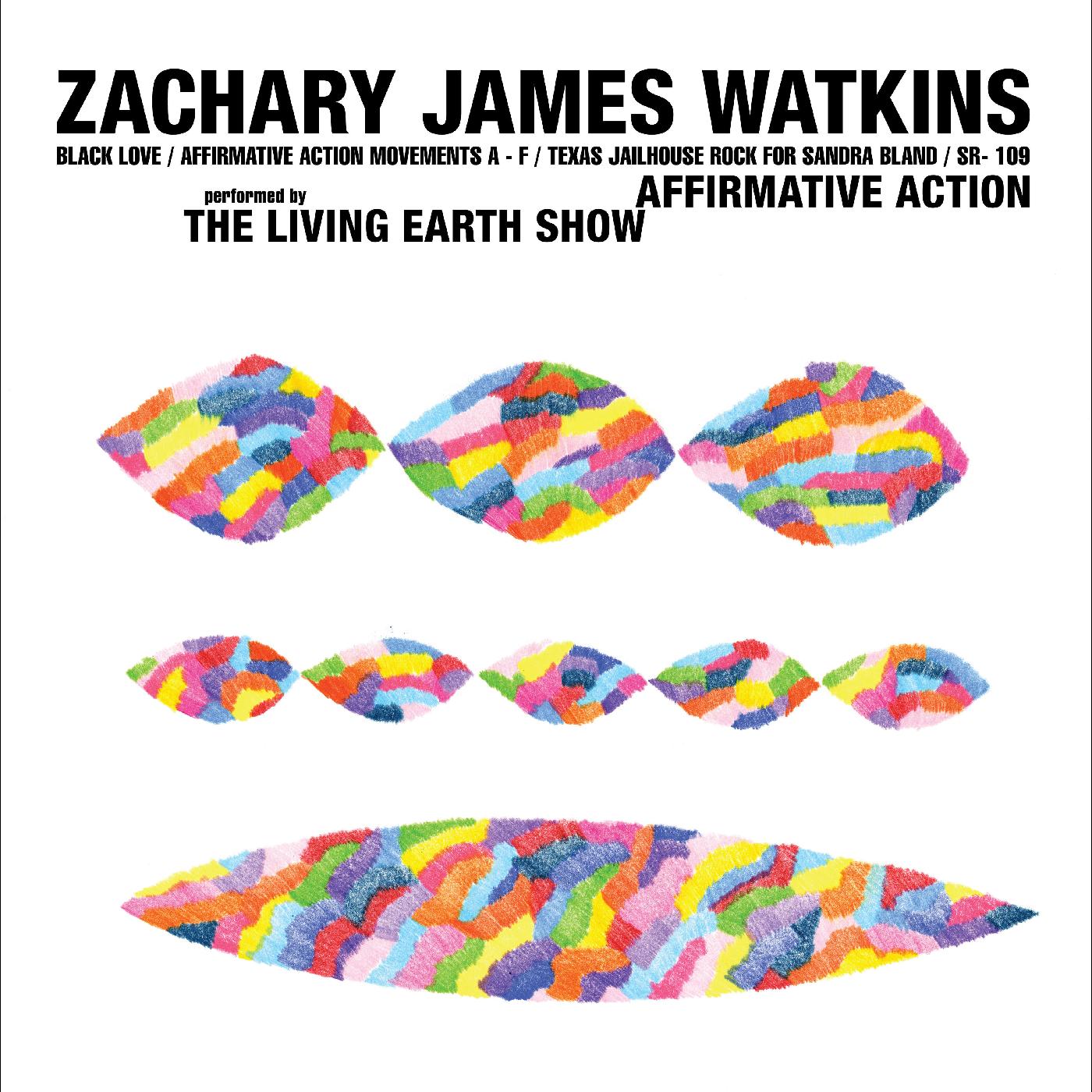 Zachary James Watkins - Acción afirmativa [Vinilo]