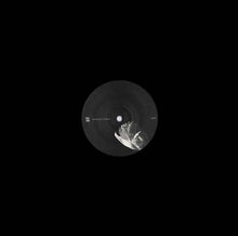 ZEITGEBER - Body Out Body In [Vinyl]