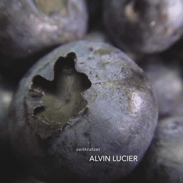 Alvin Lucier [Vinyl]